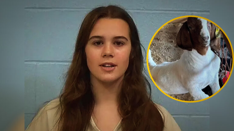 Teen Charged with Animal Cruelty After Allegedly Poisoning Rival’s Show Goat