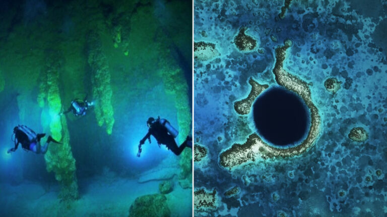 Divers Make Frightening Discovery After Finally Reaching Bottom of 400ft Great Blue Hole