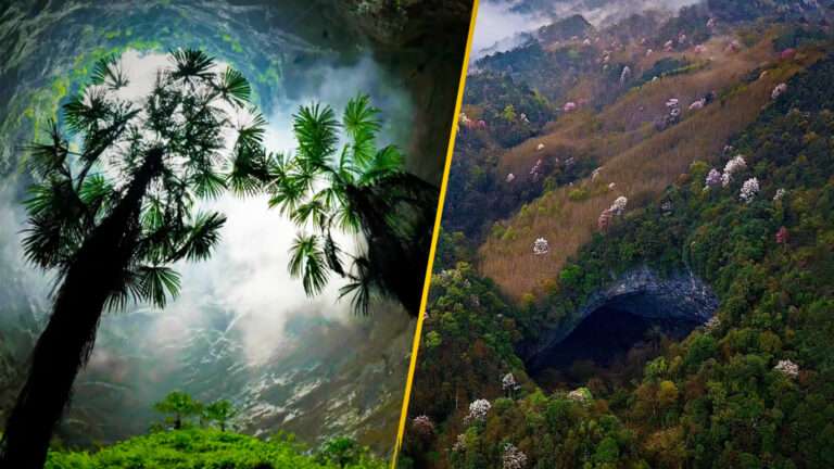 Unveiling the Secrets of China’s 630ft-Deep Sinkhole: A Hidden Forest and Potential New Species Await