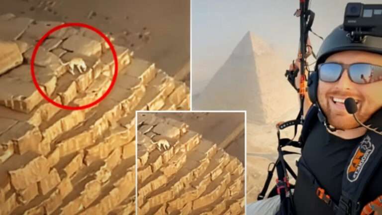 What One Adventurer Found Atop the Great Pyramid of Giza