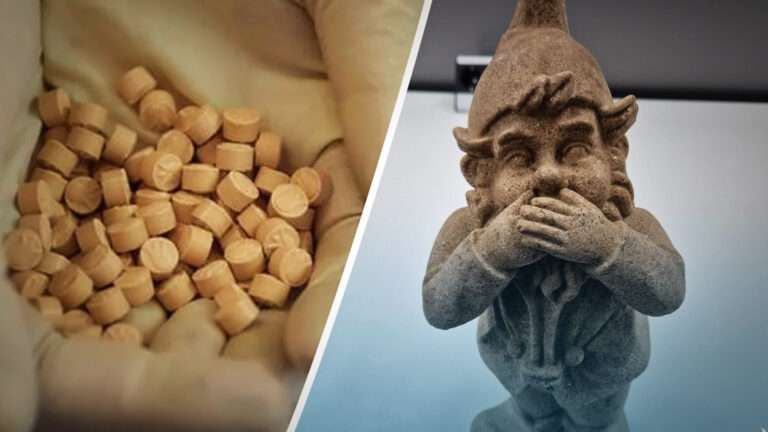 Police Discover 4-Pound Garden Gnome Made of MDMA in ‘Extraordinary’ Drug Bust