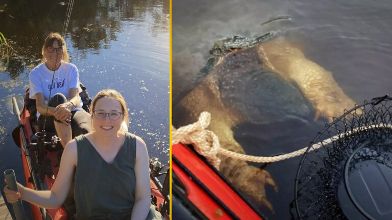 Giant Prehistoric Snapping Turtle Surprises Kayakers with Bear-Like Claws in Mississippi River