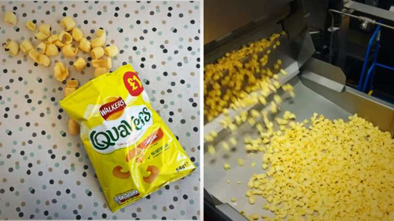 How Quavers Are Really Made: Brits React to Paddy McGuinness’s ‘Horrifying’ Factory Tour