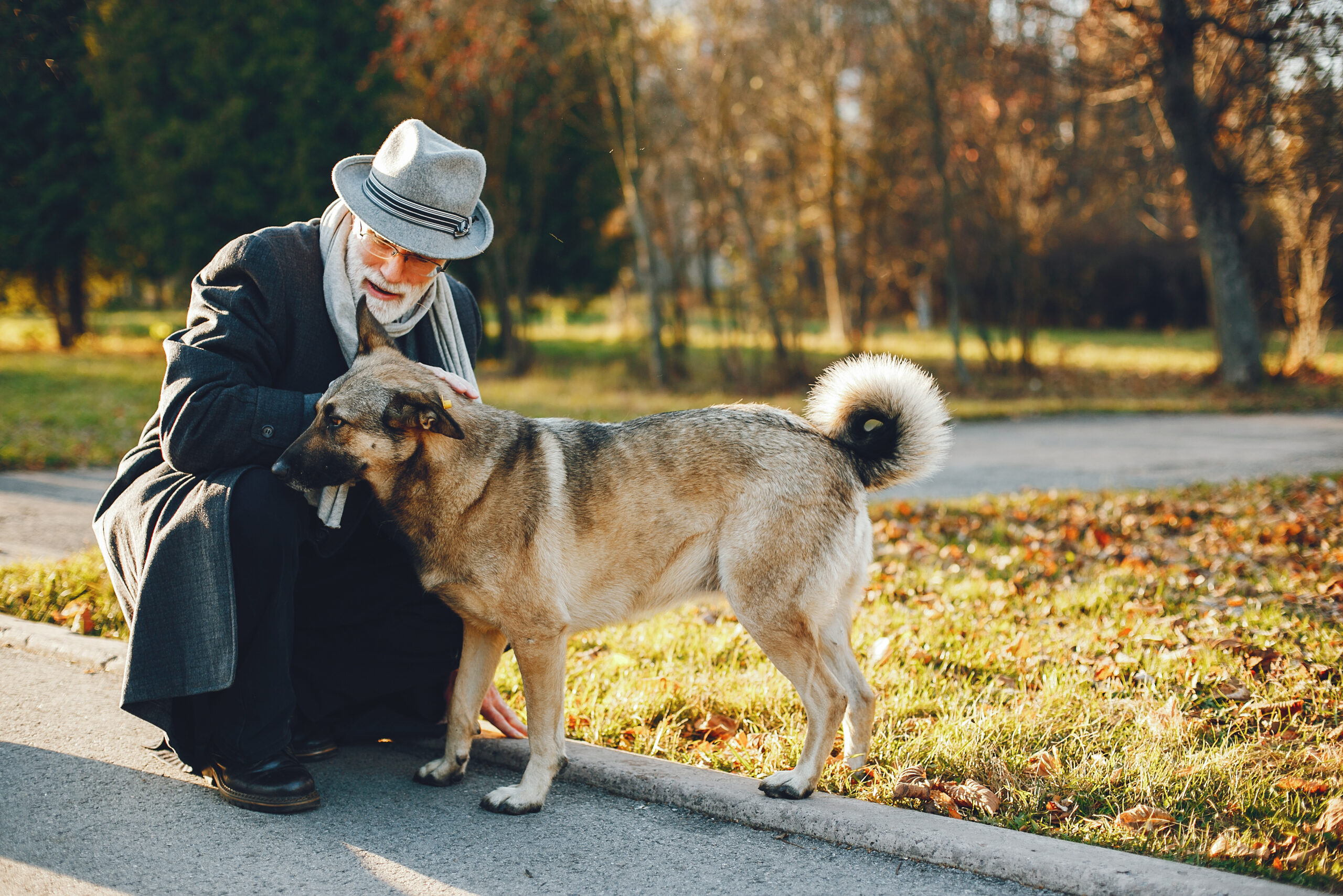 elegant-old-man-sunny-autumn-park.