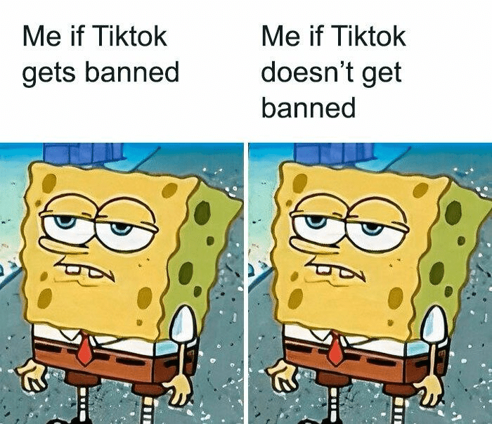 tiktok memes