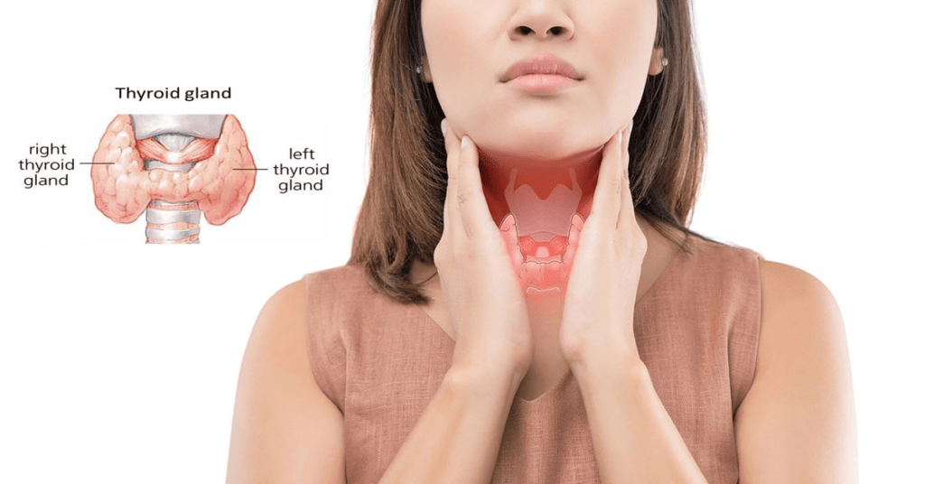 thyroid affects 