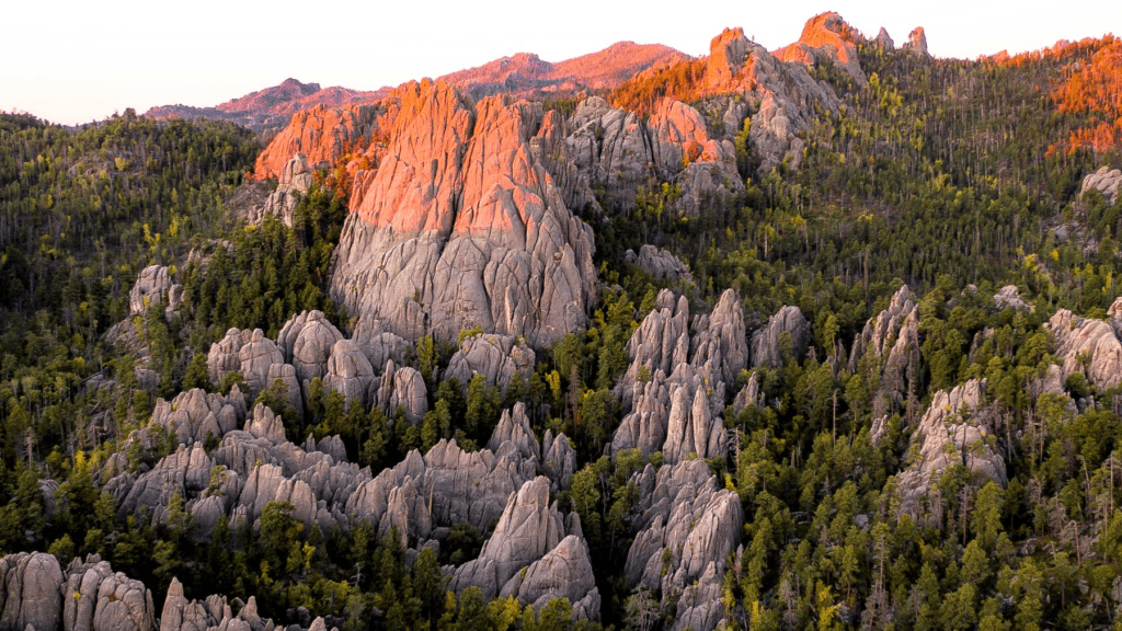 black hills 