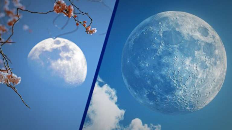 Why You Can Sometimes See the Moon During the Day: A Fascinating Insight